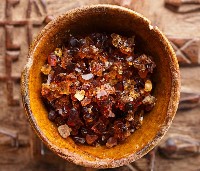Corn starch and plant-based protein ingredients for food and feed applications by Eco Agri Food