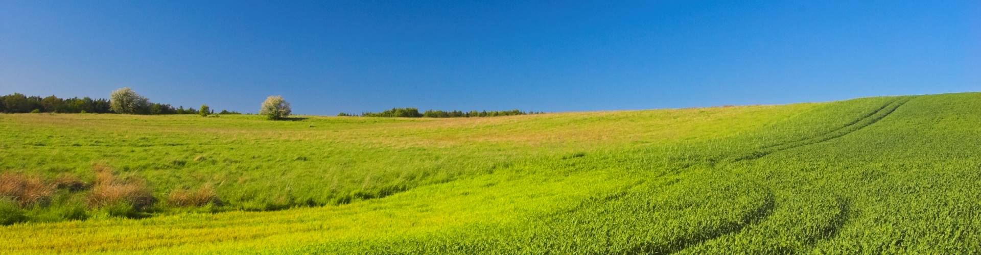 Eco Agri Food – green hills background of the News Blog