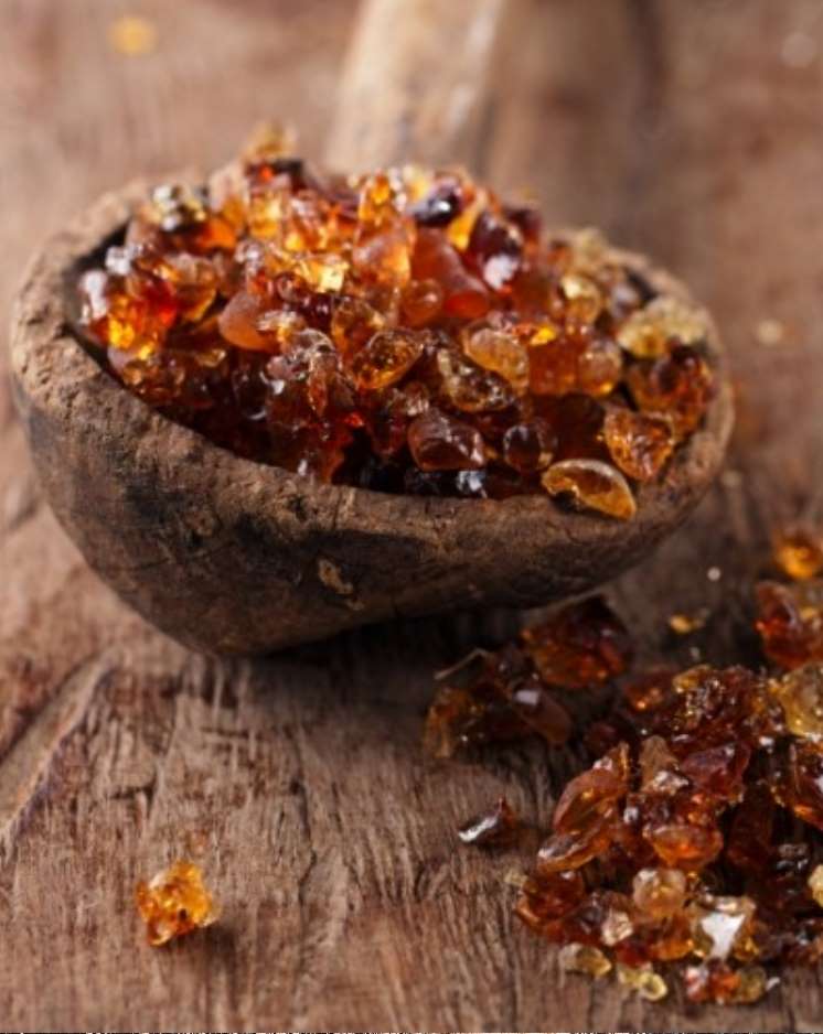 Gum Arabic from Acacia Senegal and Acacia Seyal – comparison for food & beverage applications