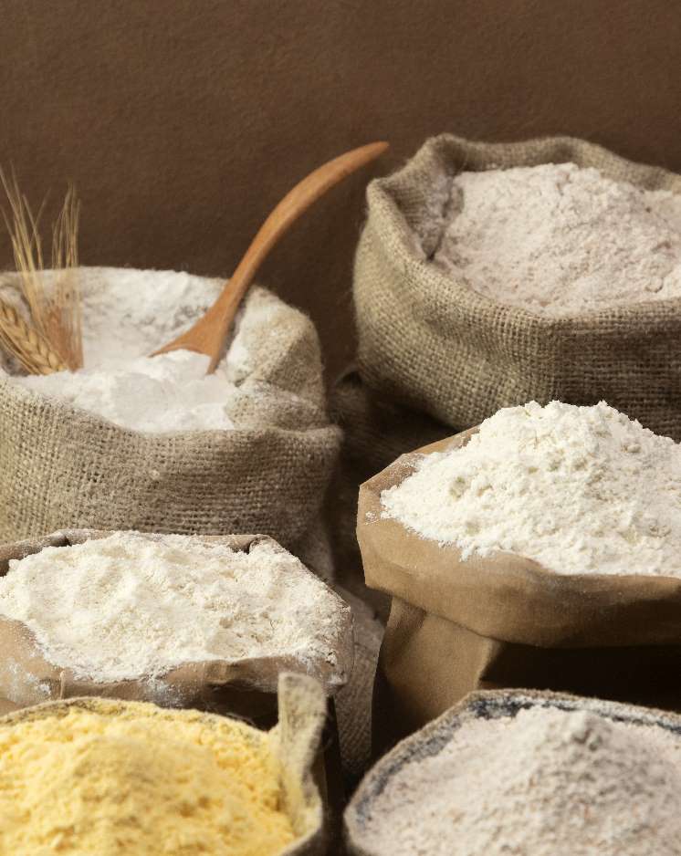 STARCHES & FLOURS FOR FOOD APPLICATIONS