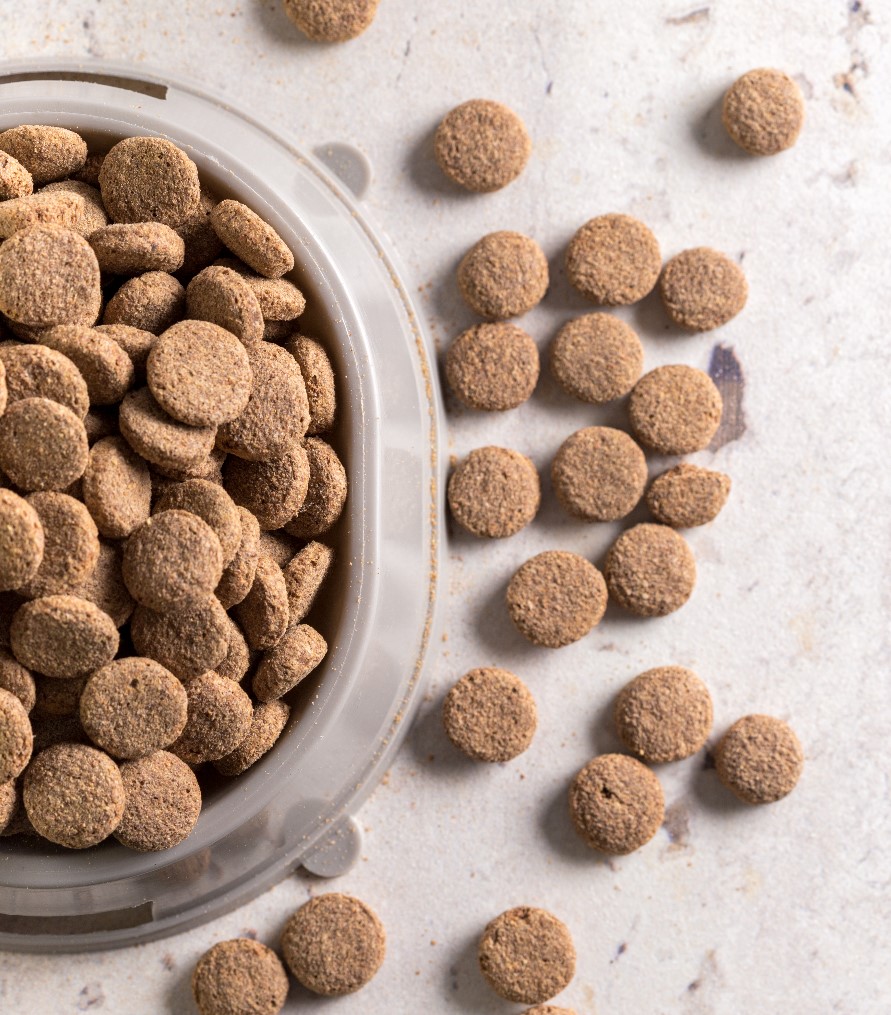 Corn starch and plant-based protein ingredients for food and feed applications by Eco Agri Food